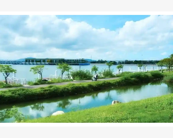 自动跟单延迟高选对信号源服务器是关键_大角度趋势线在特定市场环境下仍有参考价值