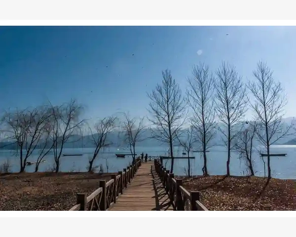 MT4强平后浮动盈亏去哪了订单按市价成交揭秘_实战中的形态确认与止损设置