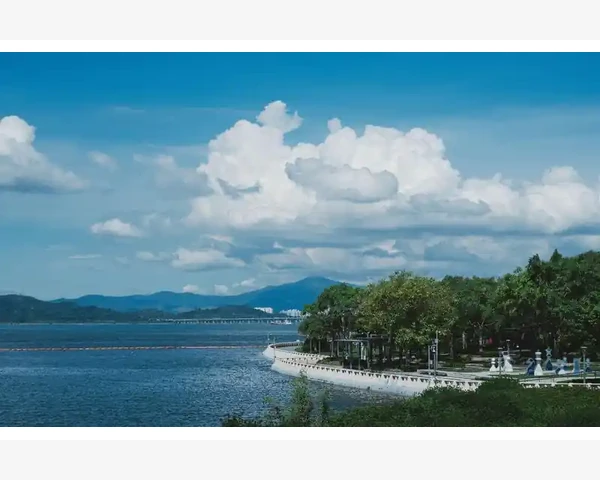 MT4平台添加新交易品种的完整操作流程_第一步 打开市场报价窗口并找到品种列表_1