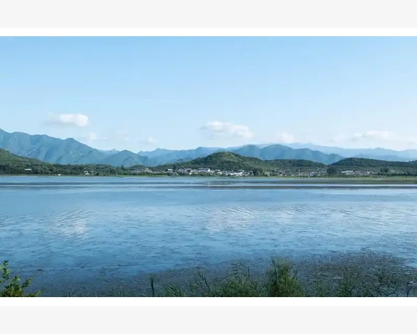 MT5图表时间轴切换为交易天数显示方法_通过数字签名验证文件来源可信度