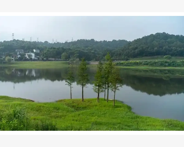MT4图表保存为图片只需一步搞定_参数修改后的图表反馈观察