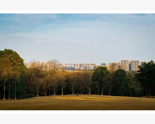MT4EA参数批量测试提升策略稳定性_浏览器兼容性也会捣乱