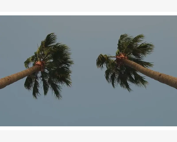 MT4平仓与强平差异详解用户主动与系统触发的区别_日志分析的实际操作步骤与技巧
