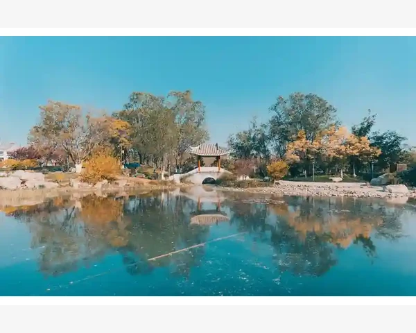 MT4交易界面布局个性化调整技巧_为价格线挑选高对比度配色方案