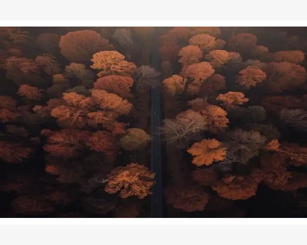 MT4交易与账户历史不同步右键刷新解决_如何解读优化结果并筛选最优组合