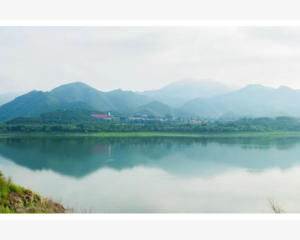 MT4模拟交易新手必知操作要点_优化EA的安全性与稳定性细节