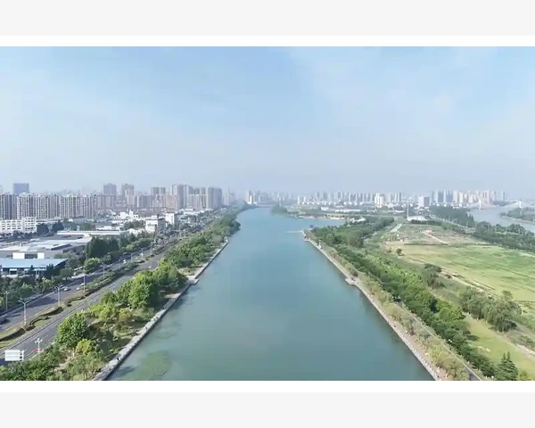 MT4 EA用静态变量控制每日开仓次数详解_如何一步步验证服务器地址是否准确