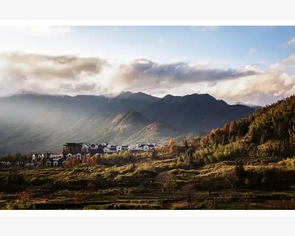 MT4时间标记如何显示为北京时间_交易实战中的循环线应用技巧