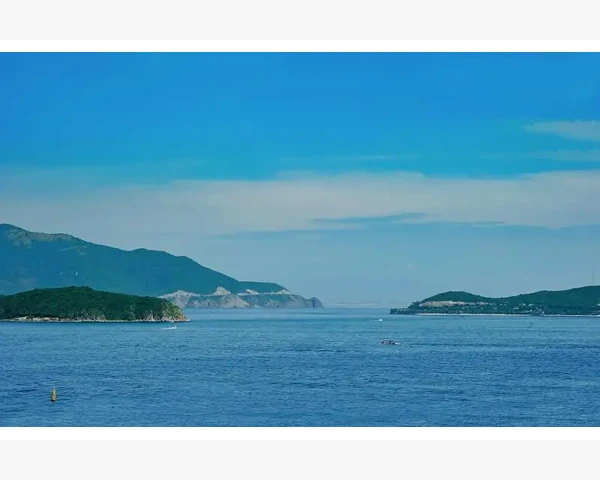 MT4设置价格触发邮件提醒的完整步骤_逐步排查与正确操作流程