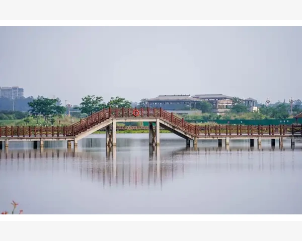 MT4限价交易订单设置一步步教你操作_通过账户报表功能生成月度交易报告
